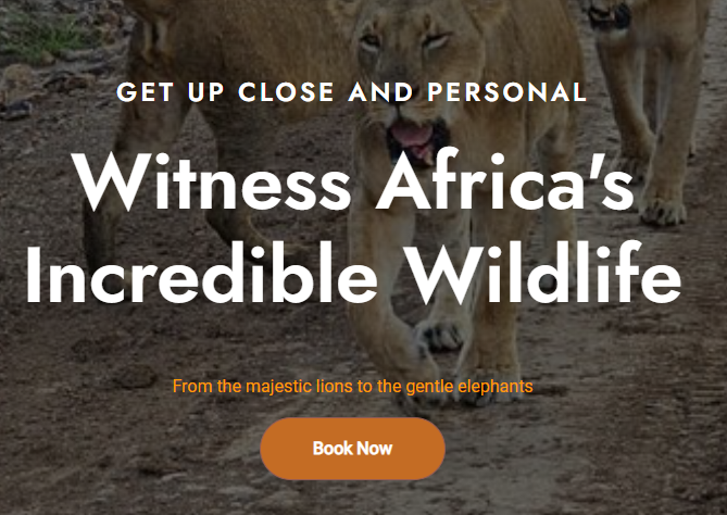 Winseyus Safaris