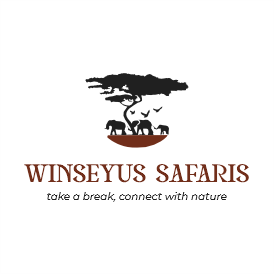 Winseyus Safaris